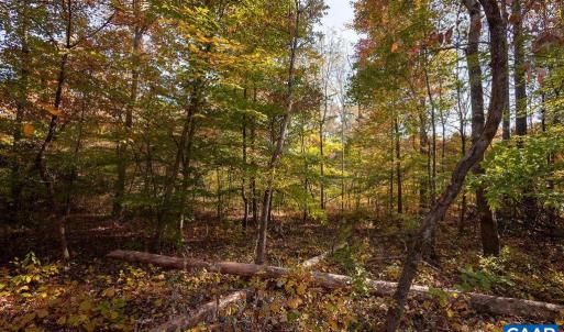Photo #21 of 316 STONEY CREEK WEST, NELLYSFORD, VA 1.2 acres