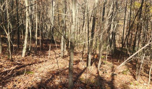Photo #11 of 46 & 58 HOWDYSHELL LN, SWOOPE, VA 6.7 acres