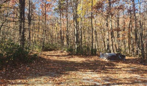 Photo #6 of 46 & 58 HOWDYSHELL LN, SWOOPE, VA 6.7 acres