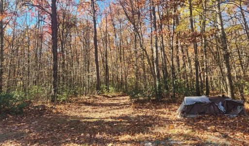 Photo #3 of 46 & 58 HOWDYSHELL LN, SWOOPE, VA 6.7 acres