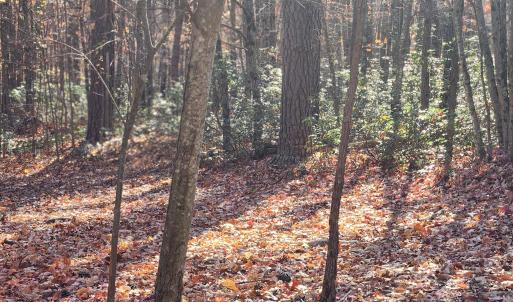 Photo #15 of 46 & 58 HOWDYSHELL LN, SWOOPE, VA 6.7 acres