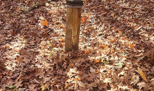 Photo #13 of 46 & 58 HOWDYSHELL LN, SWOOPE, VA 6.7 acres
