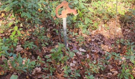 Photo #8 of 46 & 58 HOWDYSHELL LN, SWOOPE, VA 6.7 acres