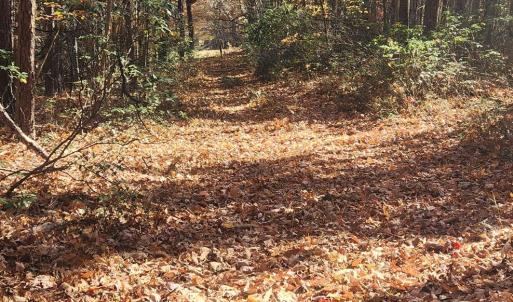 Photo #12 of 46 & 58 HOWDYSHELL LN, SWOOPE, VA 6.7 acres