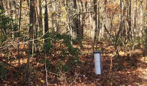 Photo #5 of 46 & 58 HOWDYSHELL LN, SWOOPE, VA 6.7 acres