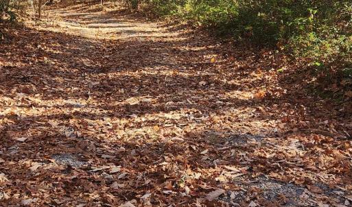 Photo #9 of 46 & 58 HOWDYSHELL LN, SWOOPE, VA 6.7 acres