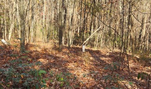 Photo #10 of 46 & 58 HOWDYSHELL LN, SWOOPE, VA 6.7 acres