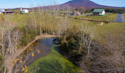 Photo #8 of TBD OAK SHADE RD, ROCKINGHAM, VA 28.2 acres