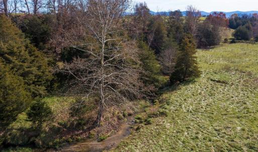 Photo #10 of TBD OAK SHADE RD, ROCKINGHAM, VA 28.2 acres