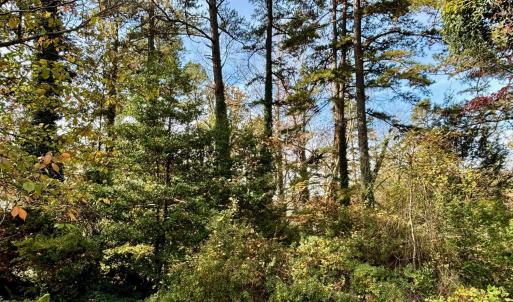 Photo #1 of 2029 SPOTTSWOOD RD, CHARLOTTESVILLE, VA 0.5 acres