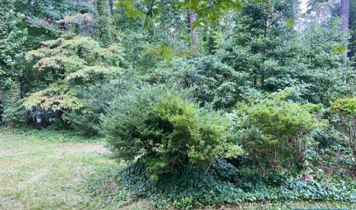 Photo #13 of 2029 SPOTTSWOOD RD, CHARLOTTESVILLE, VA 0.5 acres
