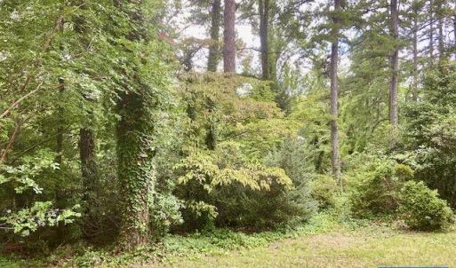 Photo #12 of 2029 SPOTTSWOOD RD, CHARLOTTESVILLE, VA 0.5 acres