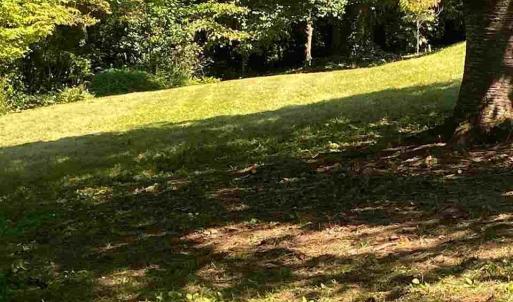 Photo #16 of 2029 SPOTTSWOOD RD, CHARLOTTESVILLE, VA 0.5 acres