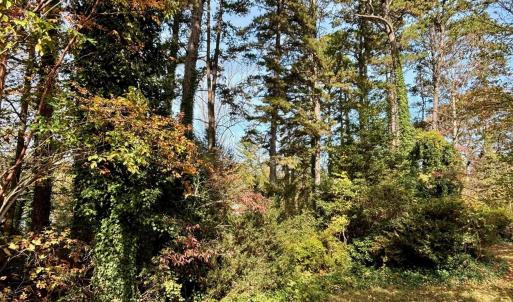 Photo #2 of 2029 SPOTTSWOOD RD, CHARLOTTESVILLE, VA 0.5 acres
