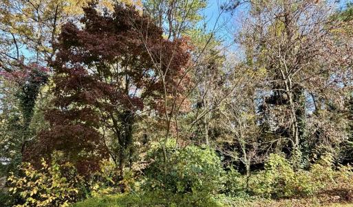Photo #18 of 2029 SPOTTSWOOD RD, CHARLOTTESVILLE, VA 0.5 acres