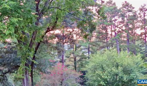 Photo #17 of 2029 SPOTTSWOOD RD, CHARLOTTESVILLE, VA 0.5 acres