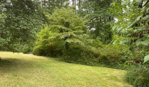 Photo #6 of 2029 SPOTTSWOOD RD, CHARLOTTESVILLE, VA 0.5 acres