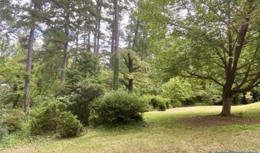 Photo #11 of 2029 SPOTTSWOOD RD, CHARLOTTESVILLE, VA 0.5 acres