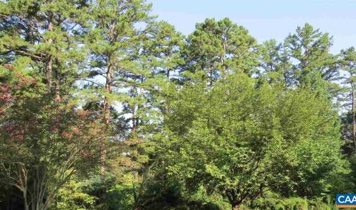 Photo #15 of 2029 SPOTTSWOOD RD, CHARLOTTESVILLE, VA 0.5 acres