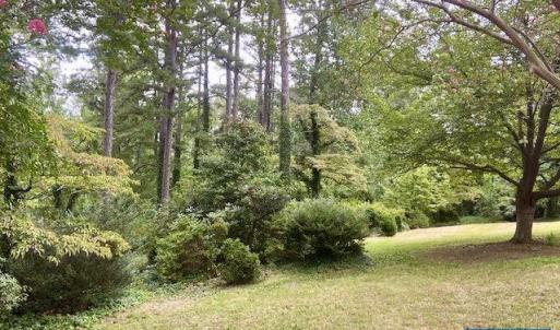 Photo #9 of 2029 SPOTTSWOOD RD, CHARLOTTESVILLE, VA 0.5 acres