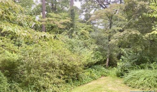 Photo #7 of 2029 SPOTTSWOOD RD, CHARLOTTESVILLE, VA 0.5 acres