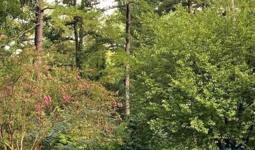Photo #14 of 2029 SPOTTSWOOD RD, CHARLOTTESVILLE, VA 0.5 acres