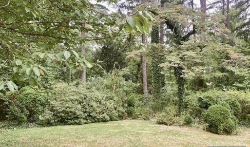 Photo #8 of 2029 SPOTTSWOOD RD, CHARLOTTESVILLE, VA 0.5 acres