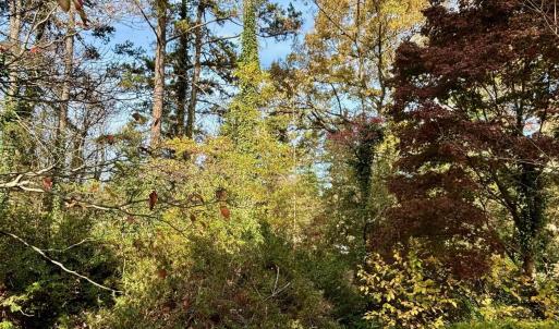 Photo #3 of 2029 SPOTTSWOOD RD, CHARLOTTESVILLE, VA 0.5 acres