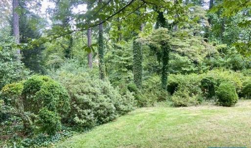 Photo #5 of 2029 SPOTTSWOOD RD, CHARLOTTESVILLE, VA 0.5 acres