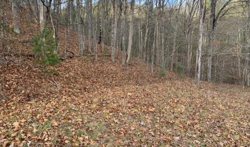 Photo #5 of TBD LOWER BACK CREEK RD, MONTEREY, VA 26.3 acres