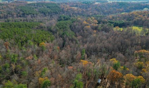 Photo #18 of TBD SEVILLE RD, ROCHELLE, VA 3.0 acres