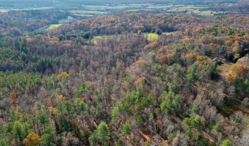 Photo #17 of TBD SEVILLE RD, ROCHELLE, VA 3.0 acres