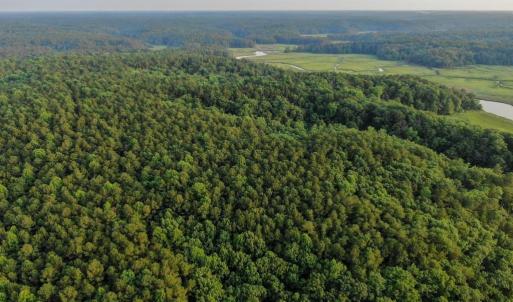 Photo #9 of 0-B WARE CREEK RD, WILLIAMSBURG, VA 2,317.0 acres