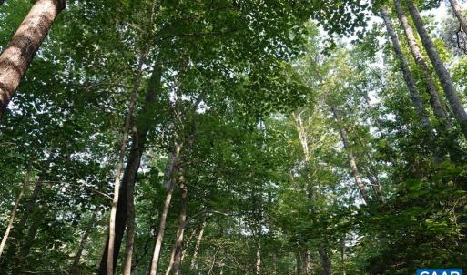Photo #3 of 0-B WARE CREEK RD, WILLIAMSBURG, VA 2,317.0 acres