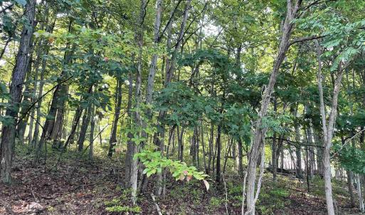 Photo #1 of CHINQUAPIN DR, LYNDHURST, VA 2.9 acres