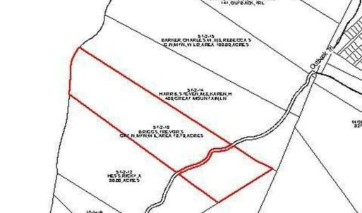 Photo #3 of none GREAT NORTH MOUNTAIN DR, WINCHESTER, VA 78.8 acres