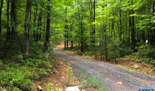Photo #1 of none GREAT NORTH MOUNTAIN DR, WINCHESTER, VA 78.8 acres