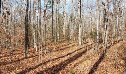 Photo #13 of GILBERT STATION RD, BARBOURSVILLE, VA 9.5 acres