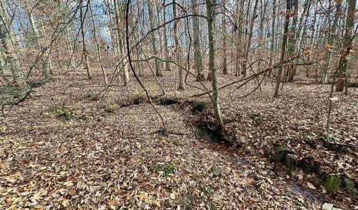 Photo #12 of GILBERT STATION RD, BARBOURSVILLE, VA 9.5 acres