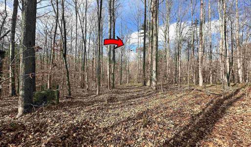 Photo #11 of GILBERT STATION RD, BARBOURSVILLE, VA 9.5 acres