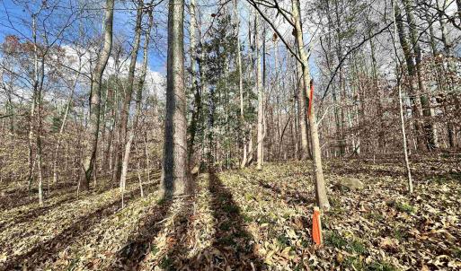 Photo #9 of GILBERT STATION RD, BARBOURSVILLE, VA 9.5 acres