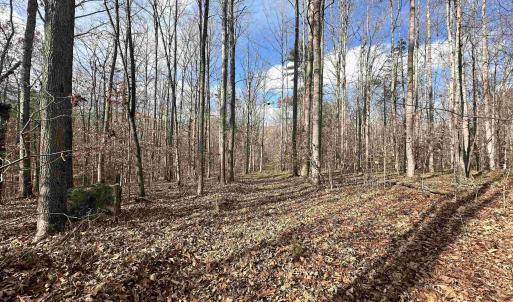 Photo #10 of GILBERT STATION RD, BARBOURSVILLE, VA 9.5 acres