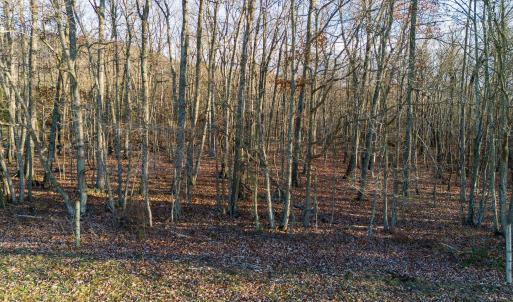 Photo #8 of TBD ROCK MOUNTAIN LN, GROTTOES, VA 25.7 acres