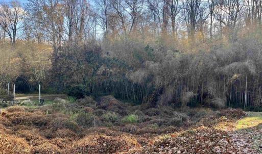 Photo #1 of 538 CLEVELAND AVE, CHARLOTTESVILLE, VA 0.3 acres
