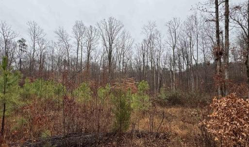 Photo #11 of 6872 JAMES ANDERSON HWY, GLADSTONE, VA 5.2 acres