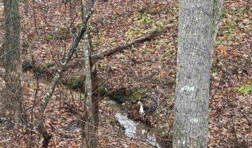 Photo #4 of 6872 JAMES ANDERSON HWY, GLADSTONE, VA 5.2 acres