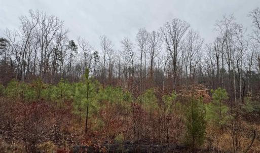 Photo #7 of 6872 JAMES ANDERSON HWY, GLADSTONE, VA 5.2 acres