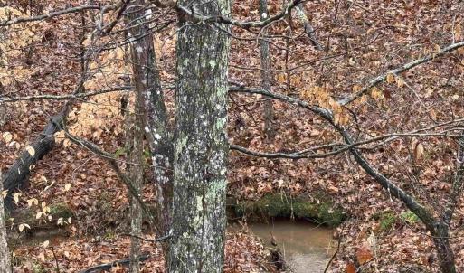 Photo #2 of 6872 JAMES ANDERSON HWY, GLADSTONE, VA 5.2 acres