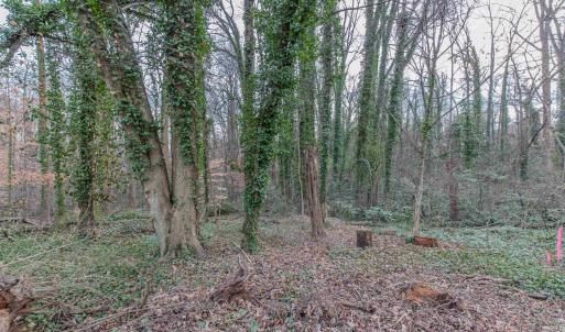 Photo #18 of Lot 13 RAYMOND AVE, CHARLOTTESVILLE, VA 0.2 acres