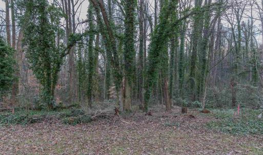 Photo #13 of Lot 13 RAYMOND AVE, CHARLOTTESVILLE, VA 0.2 acres